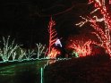 Toledo Zoo Lights 2008 052